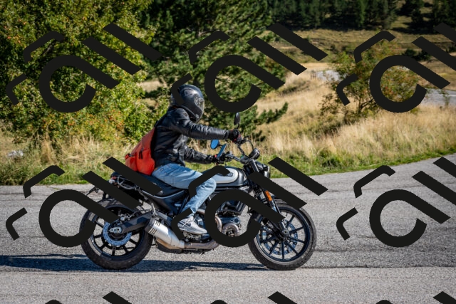 202509131009-DSC_3852_c2