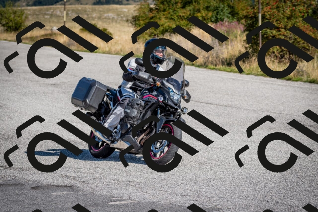 202509131009-DSC_3855_c2