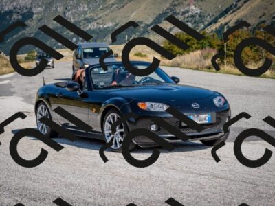 202509131010-DSC_3862_c2