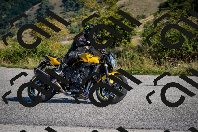 202509131018-DSC_3872_c2