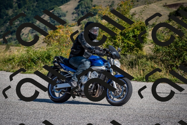 202509131040-DSC_3885_c2