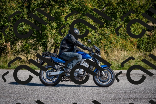 202509131040-DSC_3886_c2