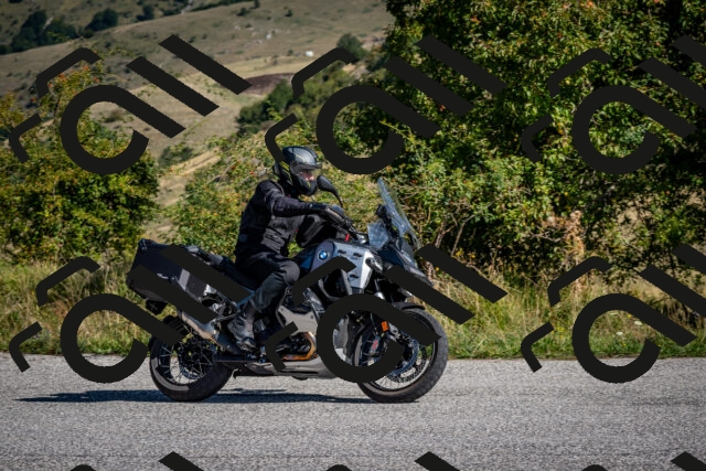 202509131050-DSC_3926_c2