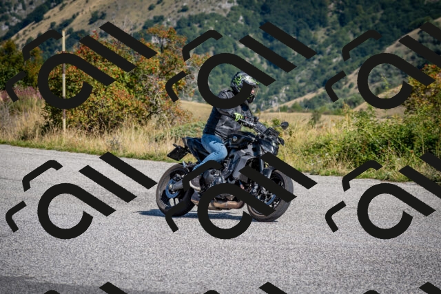 202509131052-DSC_3930_c2