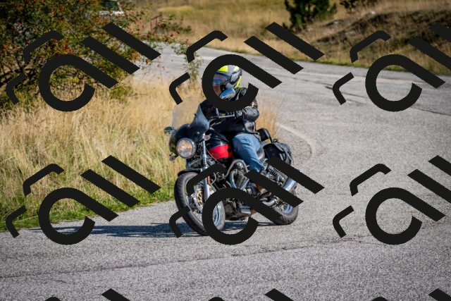 202509131055-DSC_3933_c2