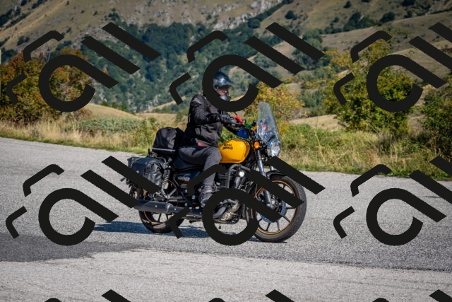 202509131057-DSC_3937_c2