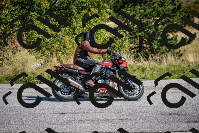 202509131105-DSC_3958_c2