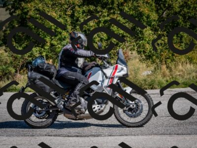 202509131115-DSC_3986_c2