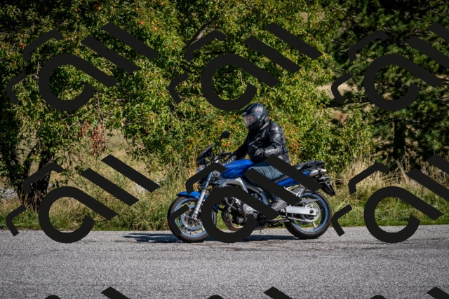 202509131115-DSC_3988_c2