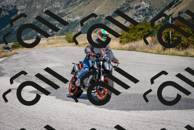 202509131117-DSC_3997_c2