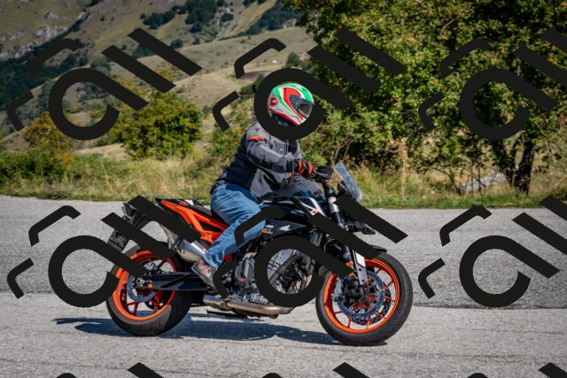 202509131117-DSC_3998_c2