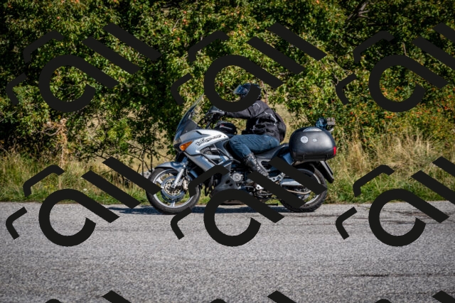 202509131118-DSC_4006_c2