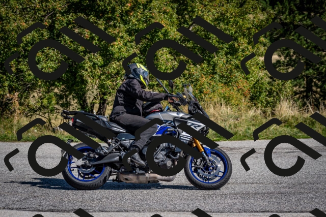 202509131118-DSC_4010_c2