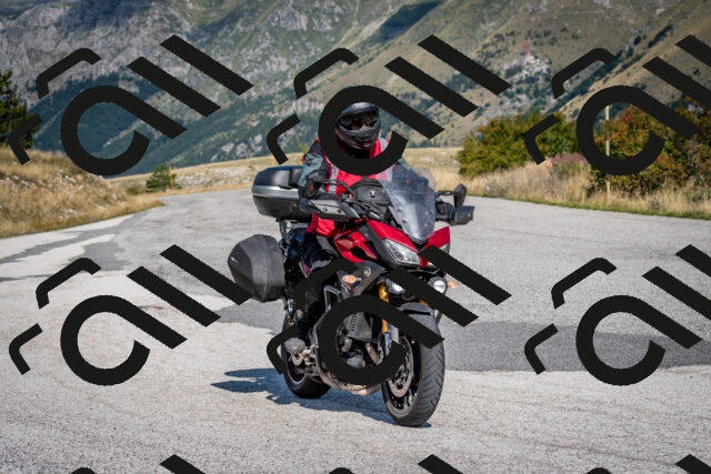 202509131121-DSC_4018_c2