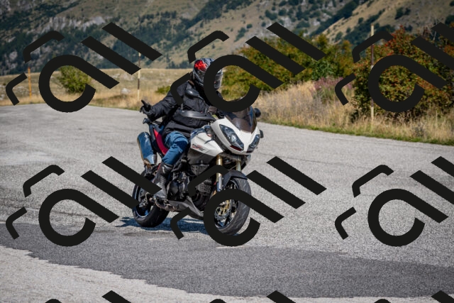 202509131125-DSC_4102_c2