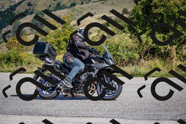 202509131132-DSC_4135_c2