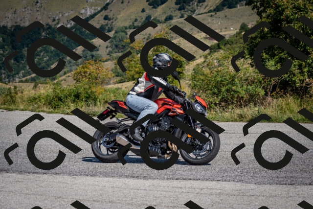 202509131134-DSC_4141_c2