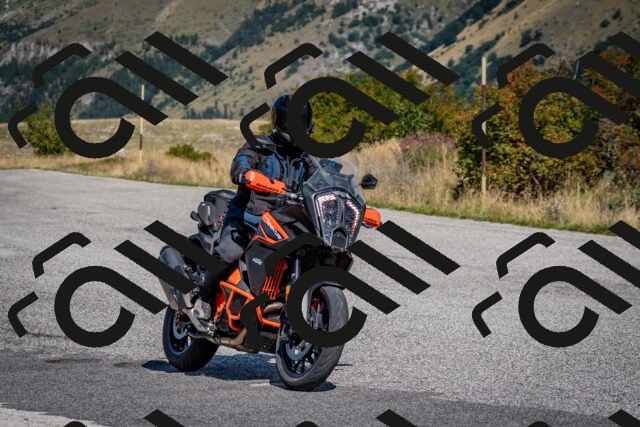 202509131141-DSC_4164_c2