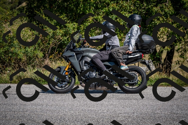 202509131145-DSC_4197_c2