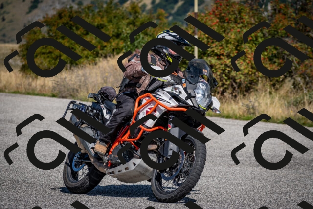 202509131146-DSC_4203_c2