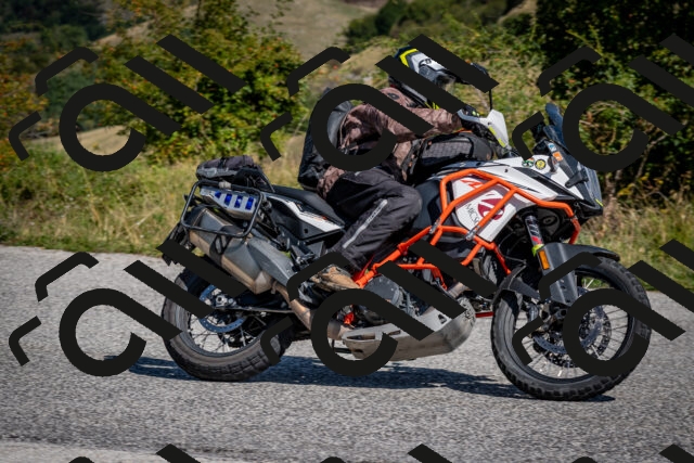 202509131146-DSC_4204_c2