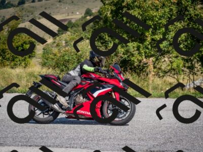 202509131200-DSC_4264_c2