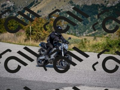 202509131201-DSC_4271_c2