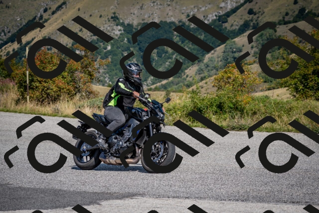 202509131203-DSC_4275_c2