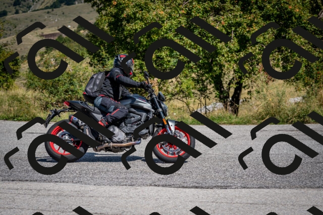 202509131210-DSC_4304_c2