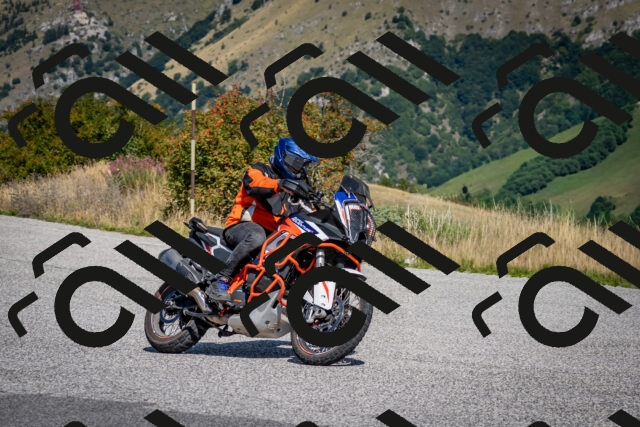 202509131210-DSC_4305_c2