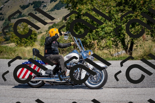 202509131210-DSC_4309_c2