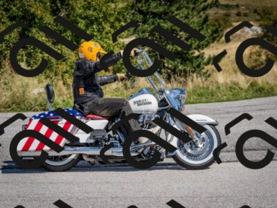 202509131210-DSC_4310_c2