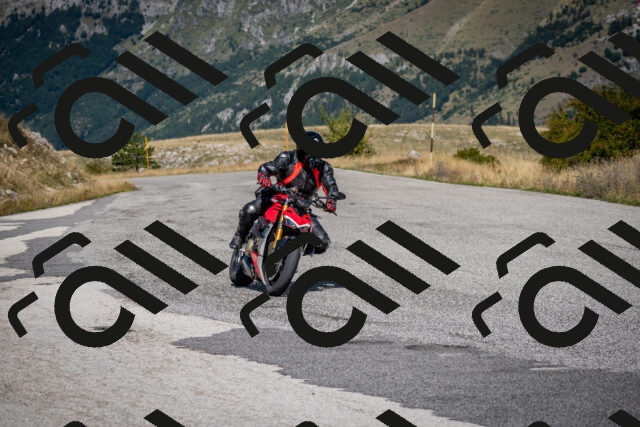 202509131214-DSC_4335_c2