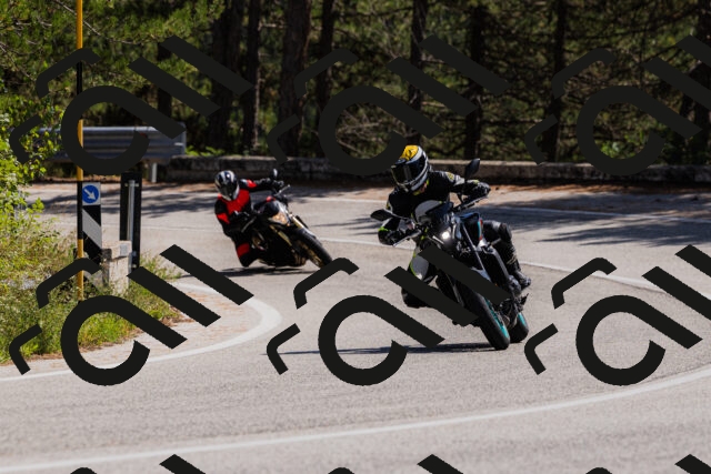 202509131305-_04A8115_c3