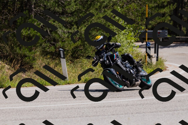 202509131305-_04A8116_c3