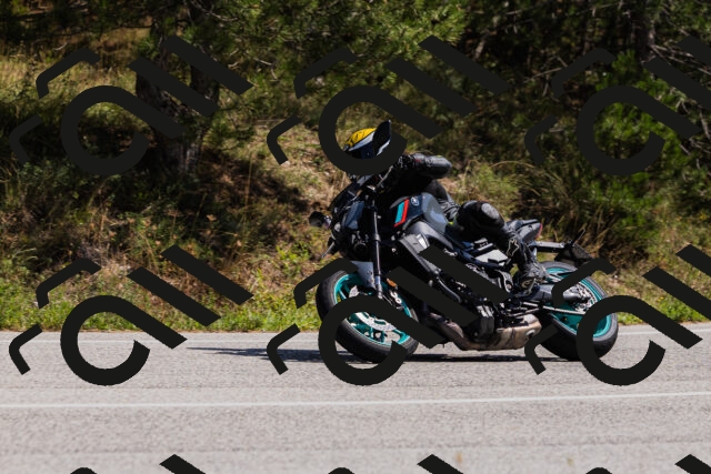 202509131305-_04A8117_c3