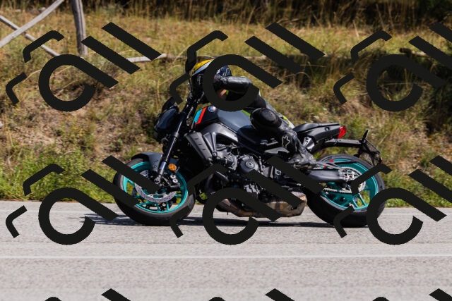 202509131305-_04A8118_c3