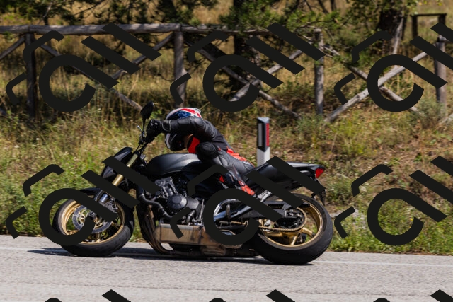 202509131305-_04A8119_c3