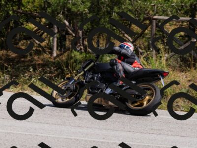 202509131305-_04A8120_c3