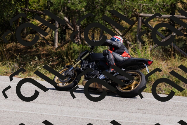 202509131305-_04A8120_c3