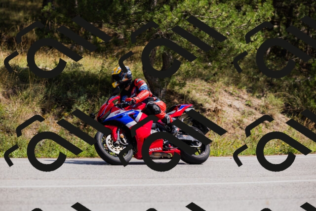 202509131306-_04A8121_c3