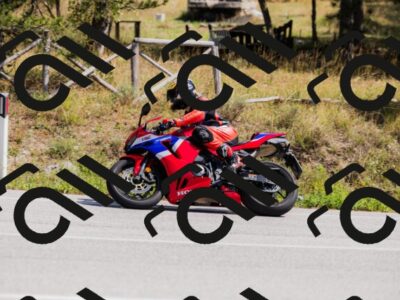 202509131306-_04A8122_c3