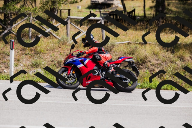 202509131306-_04A8122_c3