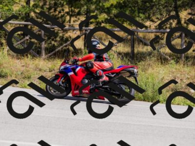 202509131306-_04A8123_c3