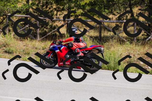 202509131306-_04A8123_c3