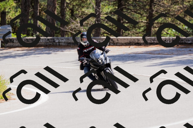 202509131306-_04A8124_c3