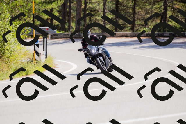 202509131306-_04A8126_c3