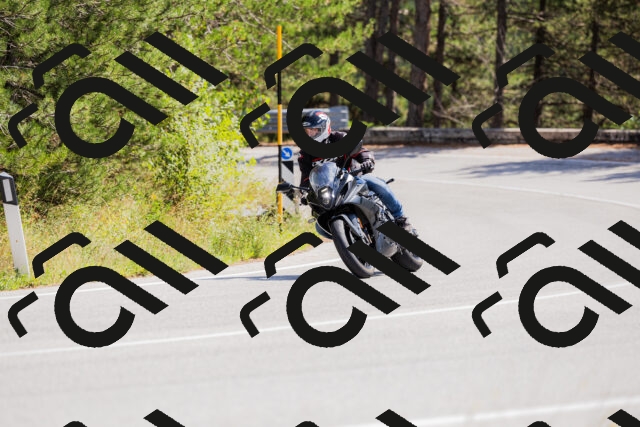 202509131306-_04A8127_c3