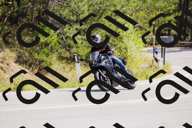 202509131306-_04A8128_c3