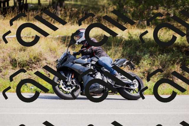 202509131306-_04A8130_c3